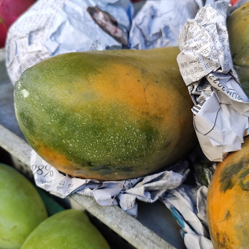 Đu đủ vàng 1 trái